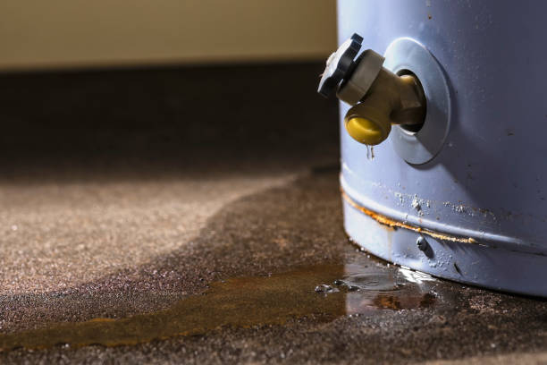 Best Water damage restoration experts  in Chester Gap, VA