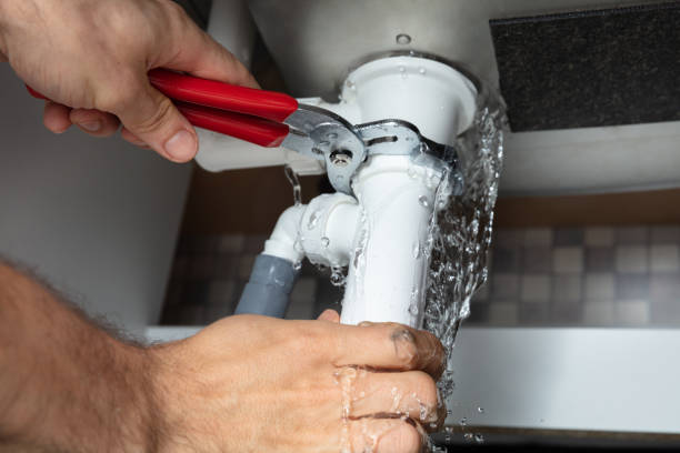 Best Basement water damage restoration  in Chester Gap, VA
