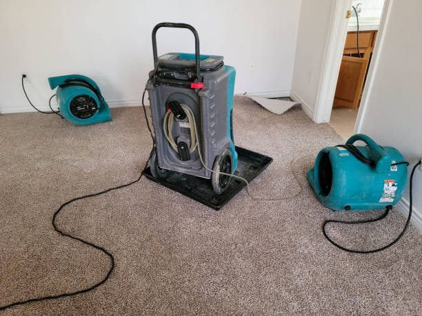 Best Water damage restoration near me  in Chester Gap, VA