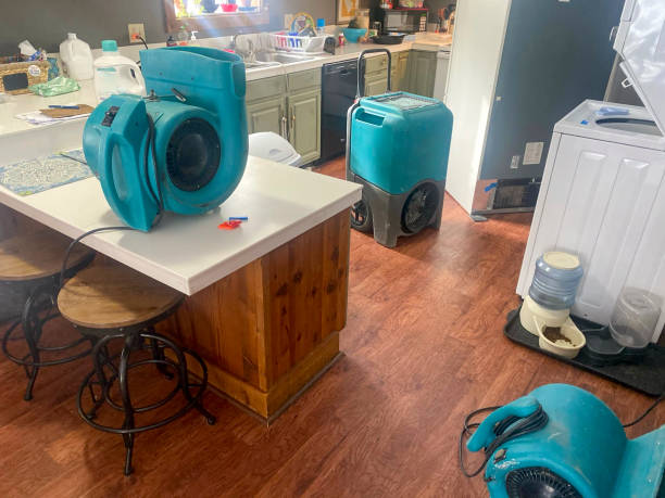 Best Local water damage restoration  in Chester Gap, VA