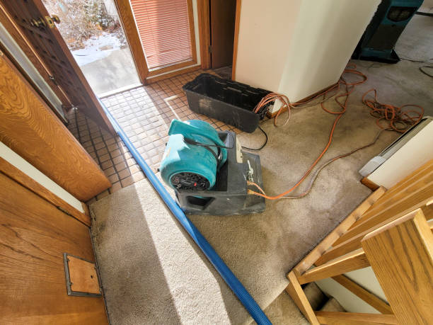 Best 24-hour water damage restoration  in Chester Gap, VA