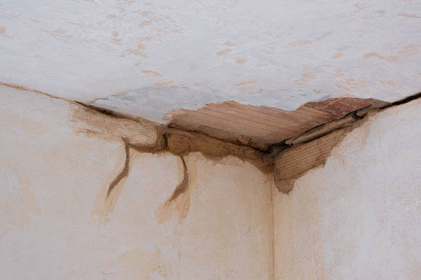 Best 24/7 water damage repair  in Chester Gap, VA