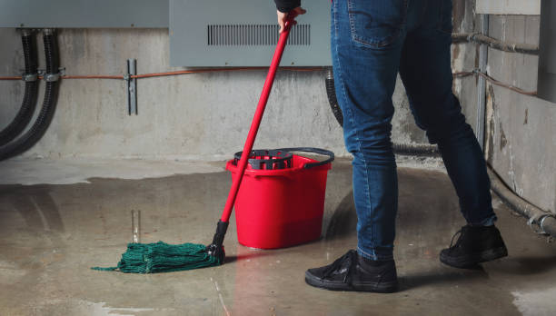 Best Emergency water damage restoration  in Chester Gap, VA