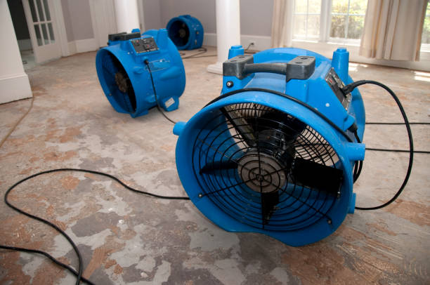 Best Carpet water damage restoration  in Chester Gap, VA
