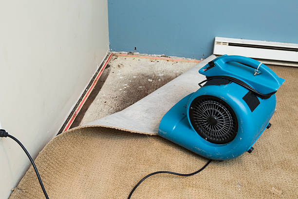 Fire Damage Restoration in VA