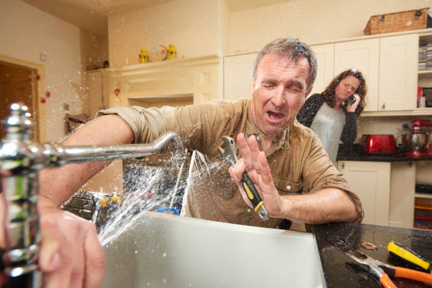 Best Local water damage restoration  in Chester Gap, VA